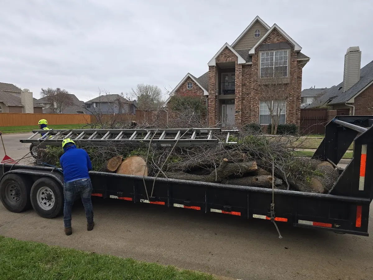 Expert Tree Fertilization with proper safety equipment in Henrietta